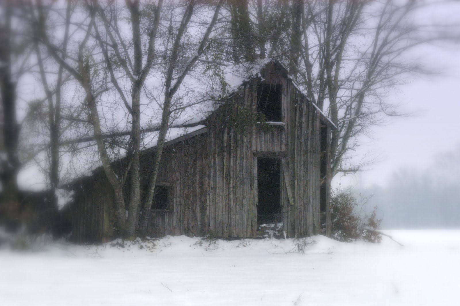 winter, barn, pack house, landscape, nature