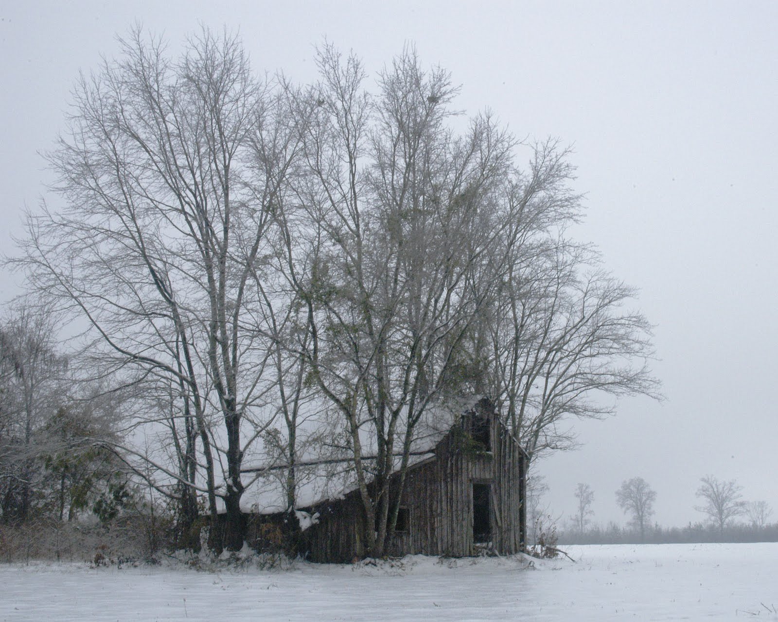 barn, snow, winter, timbers, landscape